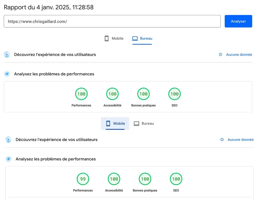Perfomance web Google page speed 