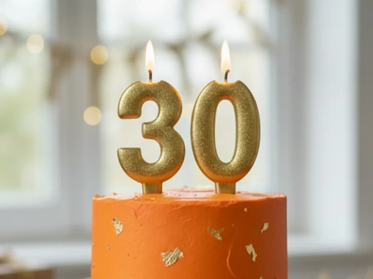 30 ans de webdesign à Grenoble