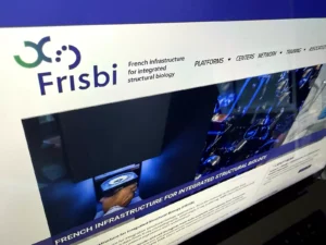 Site Internet Frisbi
